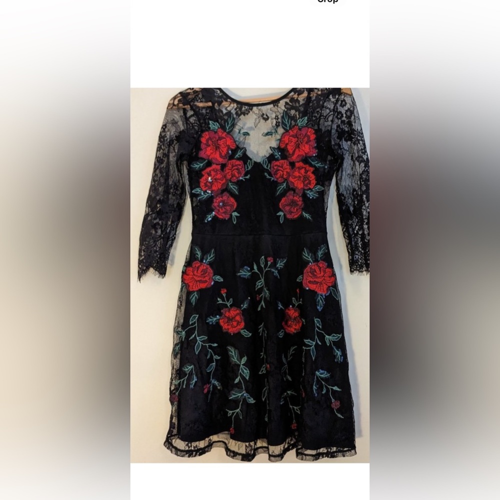 Express Lace Dress